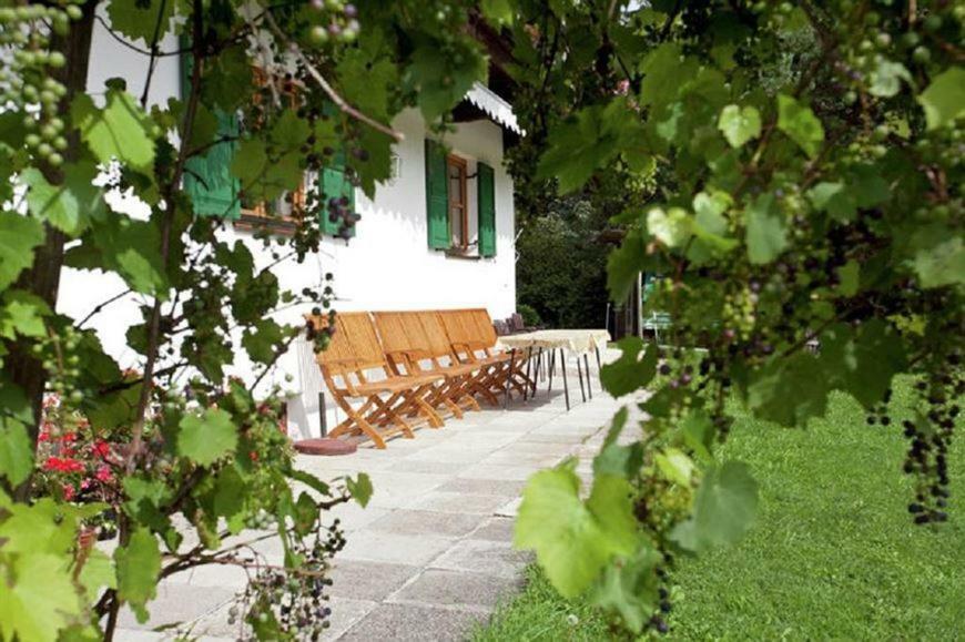 布利克森塔勒Haus Waldhof公寓 外观 照片